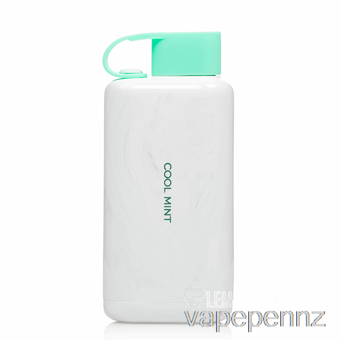 VOZOL STAR 9000 Disposable Cool Mint VAPE NZ